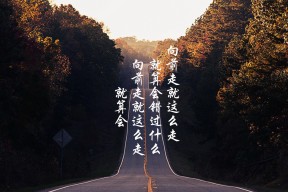 华体会官网-太极虎的破壁之夜，当久保建英成为1/4决赛的第12人