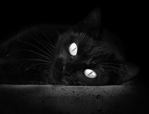 华体会-2026世界杯之夜,当萨拉赫成为绿茵教科书 第1张 华体会-2026世界杯之夜,当萨拉赫成为绿茵教科书 第1张