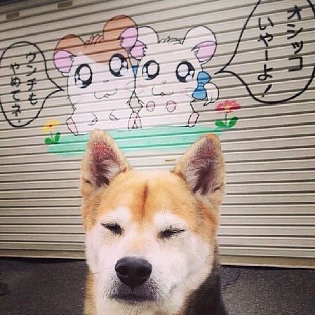 华体会登陆-击穿神话,雄鹿闪电战击溃辽宁,班凯罗于重压下逆风绽放 第2张 华体会登陆-击穿神话,雄鹿闪电战击溃辽宁,班凯罗于重压下逆风绽放 第2张