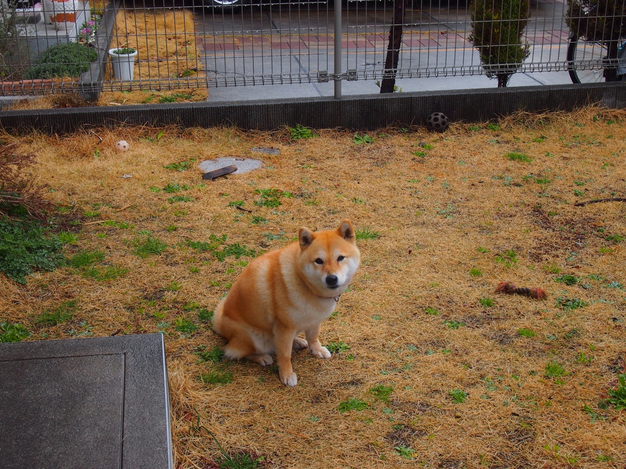 华体会官网-魔术逆转开拓者，米切尔状态火热，点燃逆袭之火  第1张